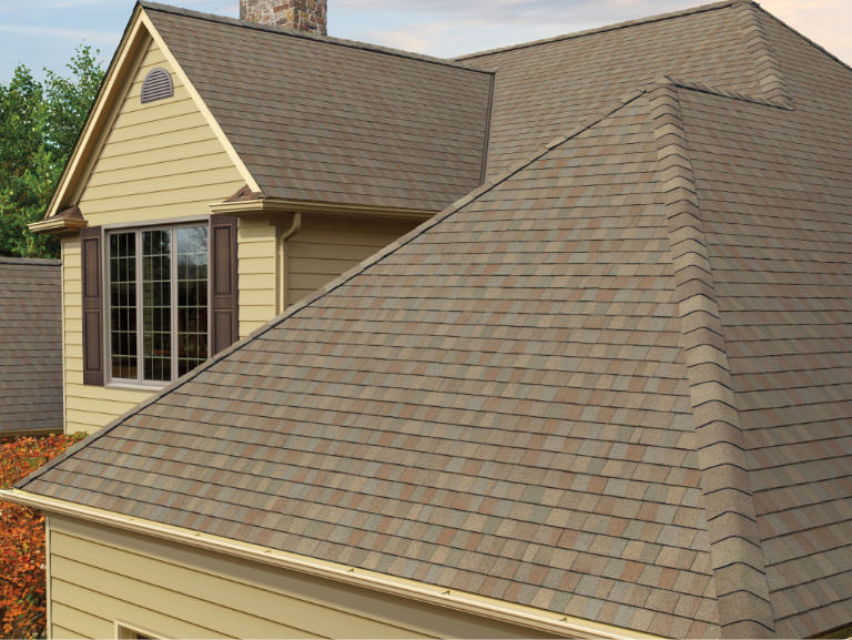 Shingle Roof Replacement and Repair in Jacksonville